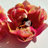 Ravello | Ring 925 Silber